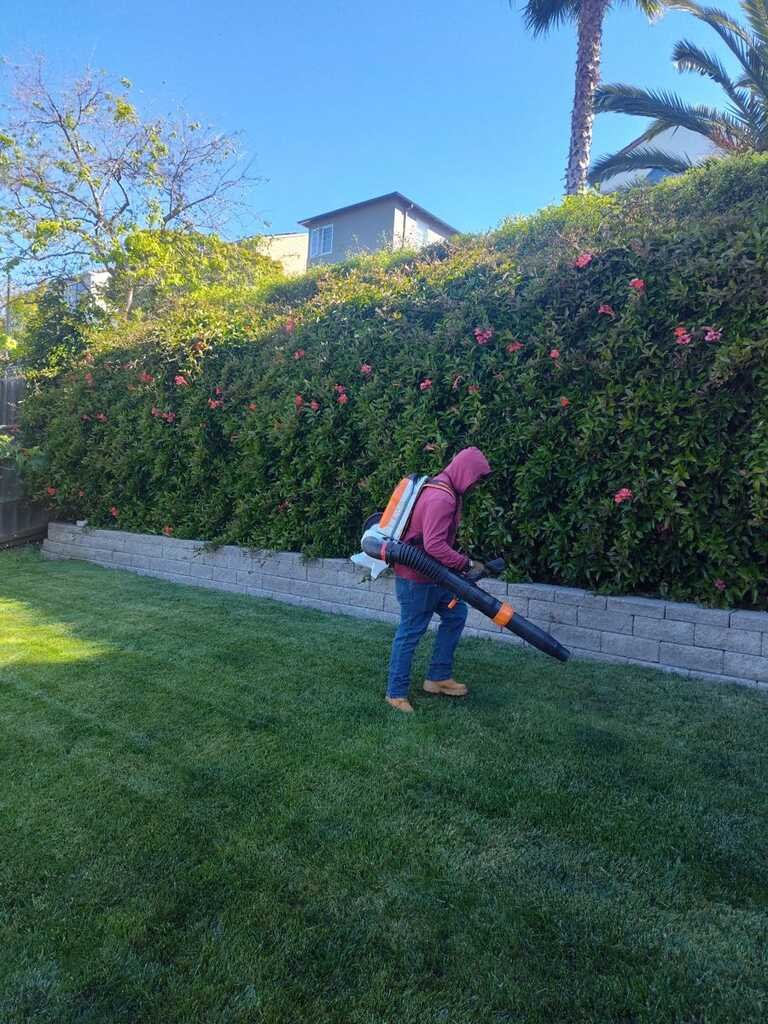 Freshly maintained yard by Happy Yards Lawn Maintenance